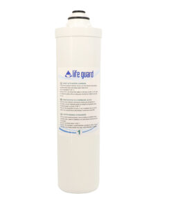 Filtru de rezerva - Post Activated Carbon filter